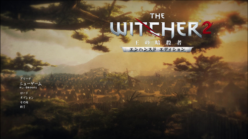 THE WITCHER2
